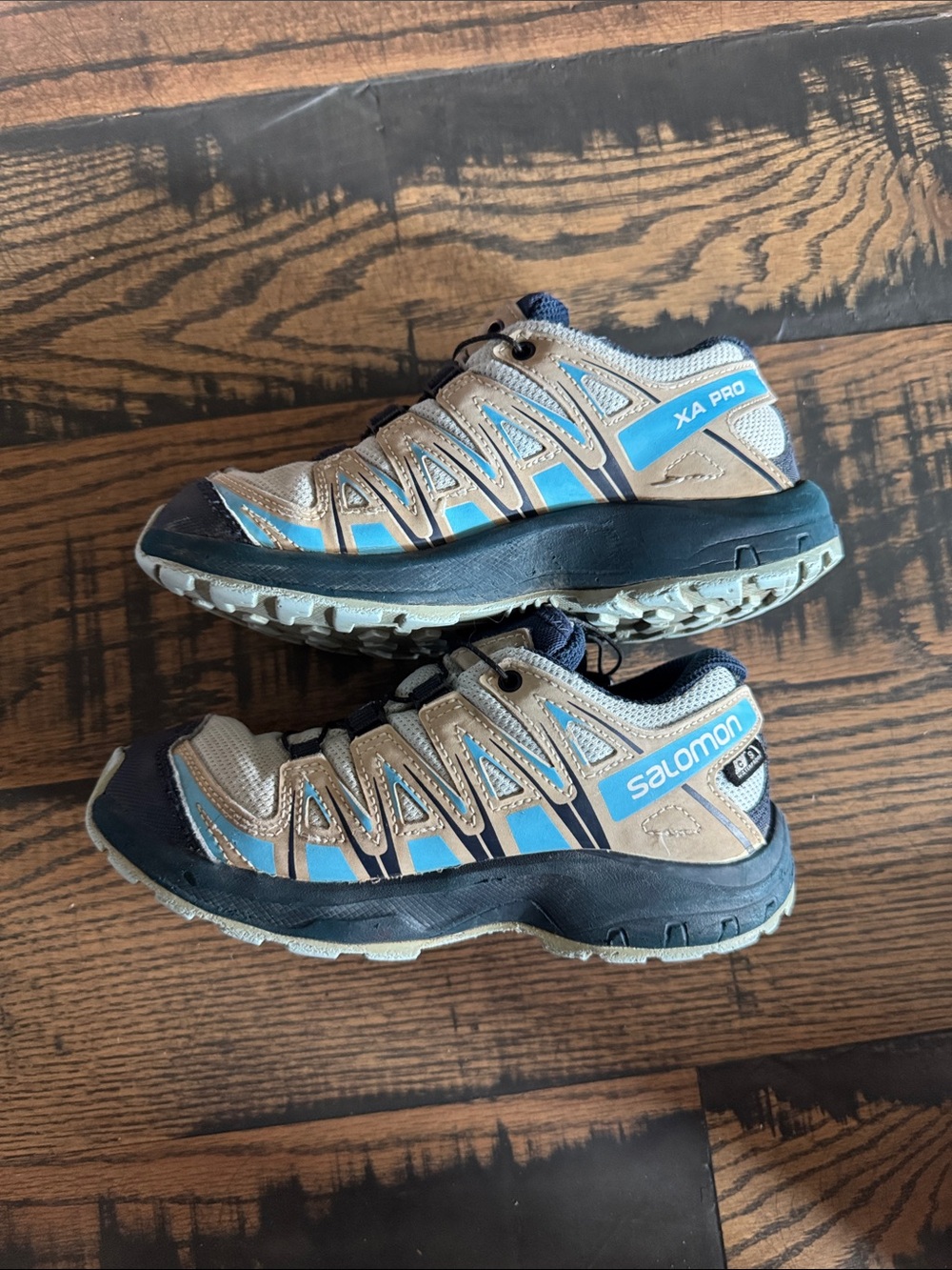 Salomon XA Pro Trail Shoes in Beige and Blue